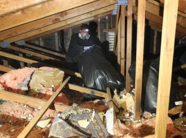 Attic Cleaning